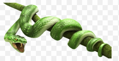 Transparent Image Icon Favicon - Green Snake Png