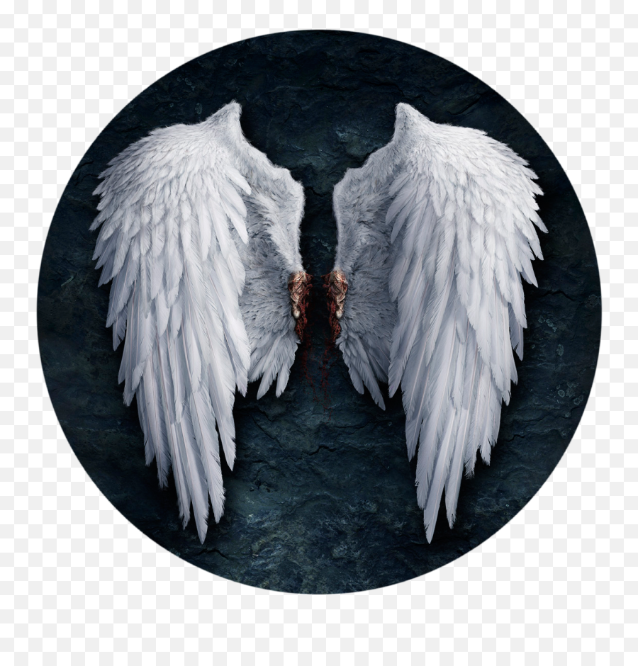 Lucifer Castiel Angel Wing Png File - Lucifer Wings,Wing Png