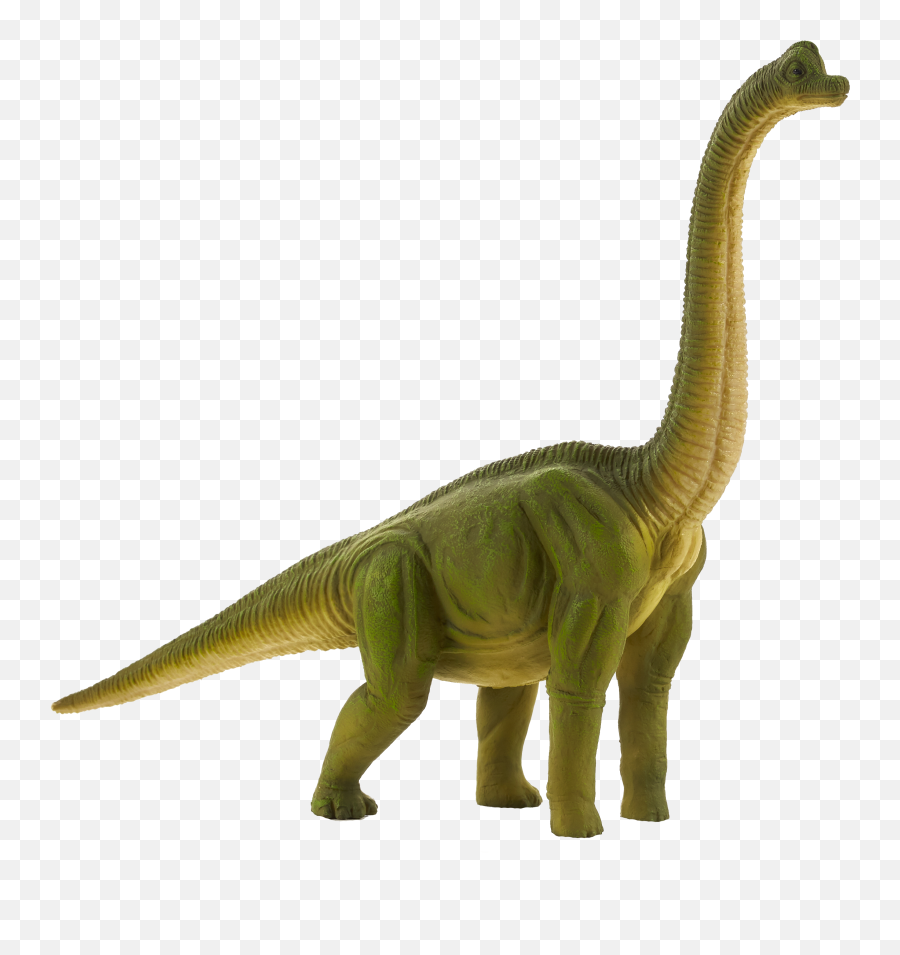 Brachiosaurus Toy Png Image With No - Brachiosaurus Clipart,Brachiosaurus Png