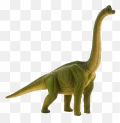 Brachiosaurus Toy Png Image With No - Brachiosaurus Clipart,Brachiosaurus Png