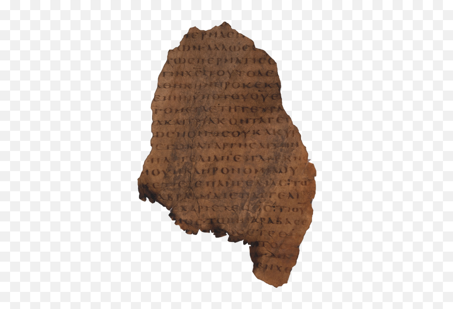 Parchment Manuscripts Discovered - Brice C Jones Ruffle Png,Parchment Png