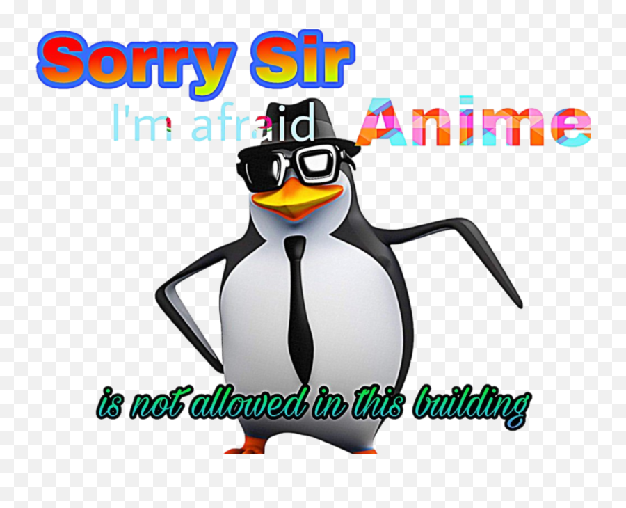 Sorry Sir Png - Album On Imgur Penguin,Sorry Png