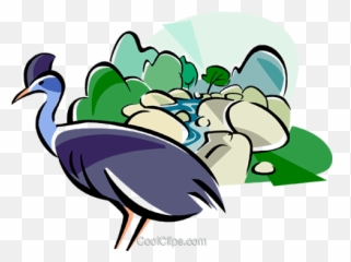 Australia Daintree Rainforest Royalty Free Vector Clip Art - Rainforest Clip Art Png,Rainforest Png