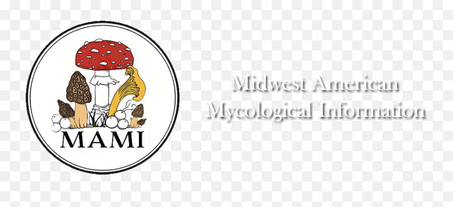 Midwest American Mycological Information U2013 Wild - Foraged Png,Mushroom Logo