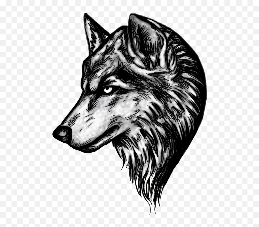 Fox Wolf Head - Sticker By Ig Nabilyolo Wolf Tatoo Design Png,Wolf Head Png