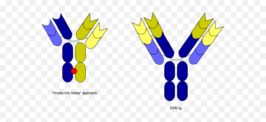 Dvd - Knob In Hole Antibody Png,Knob Png