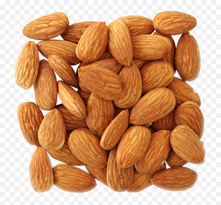 Download Almond Png Image - Almond Images Download,Almond Transparent