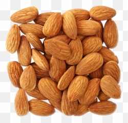 Download Almond Png Image - Almond Images Download,Almond Transparent