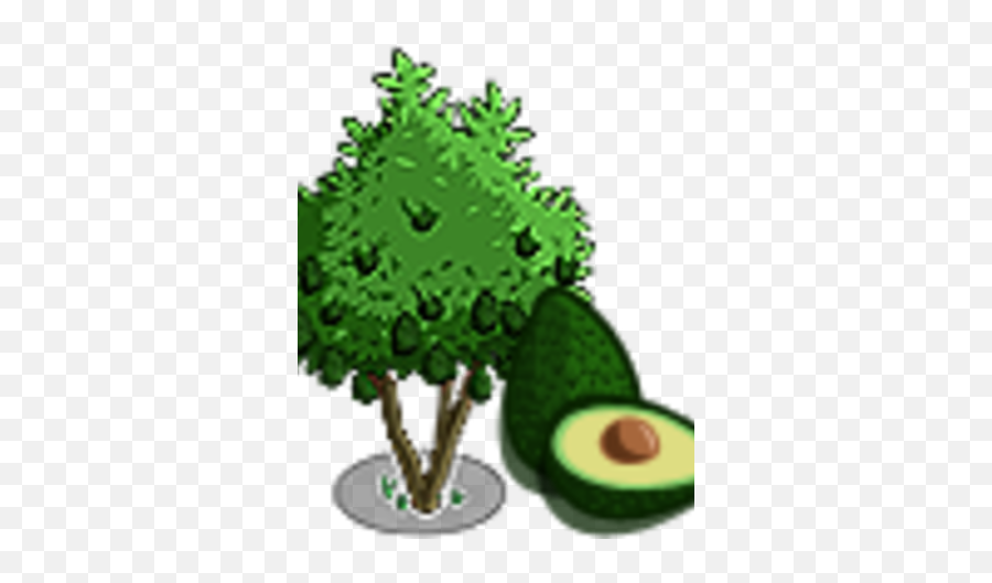 Avocado Tree Png U0026 Free Treepng Transparent Images - 3d Avocado Tree Png,Avocado Png