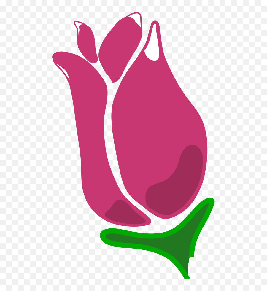 Pinterest Flower - Flor Do Outubro Rosa Png,Rose Outline Png
