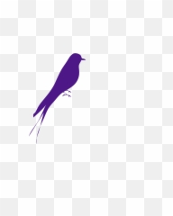 Big Bird Clip Art - Clipart Purple png