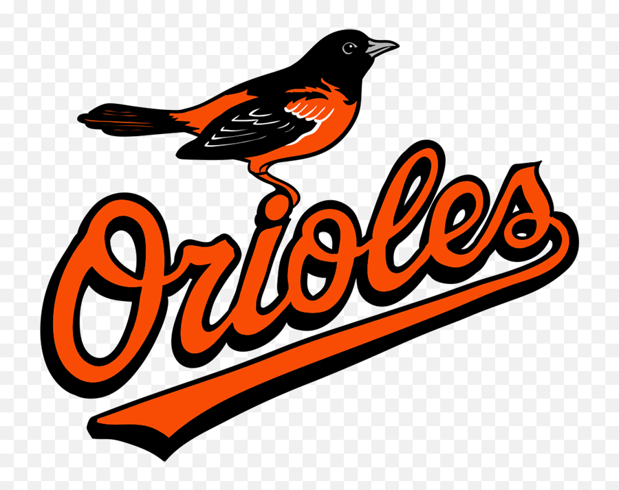 Learn How To Draw Baltimore Orioles Logo - Easy To Draw Baltimore Orioles Logo Png,Google Drawings Logo