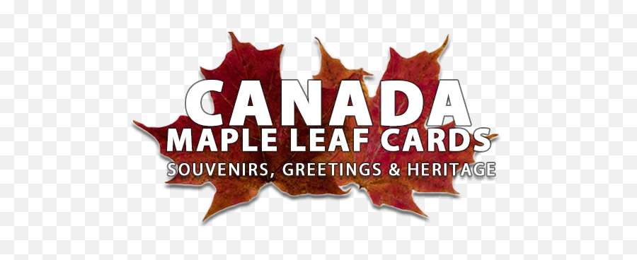 Two Large Canadian Leaves - Graphic Design Png,Red Leaf Logo