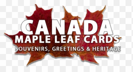 Two Large Canadian Leaves - Graphic Design Png,Red Leaf Logo