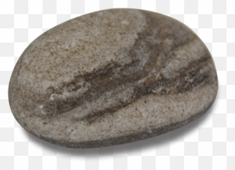 Svg Transparent Library Png - Pebble