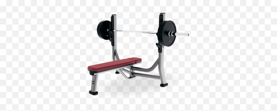 Signature Series Olympic Flat Bench Delta Fitness U2013 The 1 - Life Fitness Olympic Flat Bench Png,Olympic Icon Paint Review