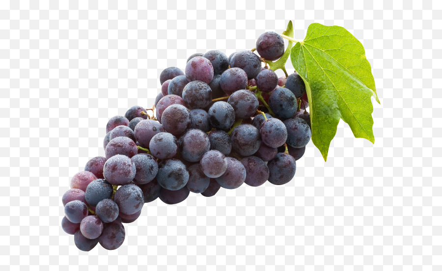 Grape Emoji Png - Grape Png Image U0026 Grape Clip Art Grapes Paneer Grapes,Grapes Png