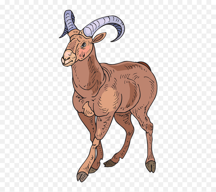 Stylized Sheep Style - Free Vector Graphic On Pixabay Bighorn Sheep Clipart Png,Sheep Png