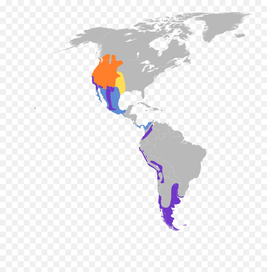 Filespatula Cyanoptera Mapsvg - Wikimedia Commons Lgbt Rights In South America Png,Spatula Png
