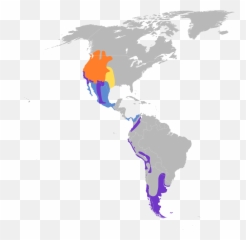 Filespatula Cyanoptera Mapsvg - Wikimedia Commons Lgbt Rights In South America Png,Spatula Png