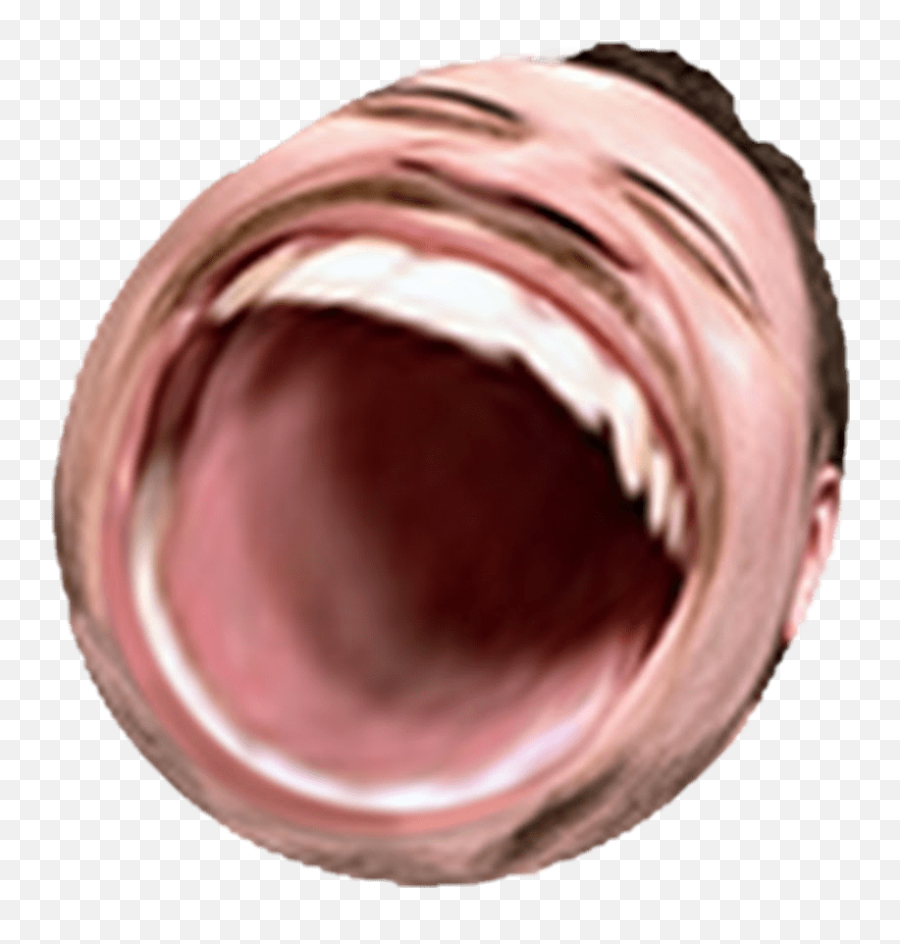Download Free Png Hd Omegalul Discord Emoji - Emotes Omegalul Emote Transparent,Transparent - free png images - pngaaa.com