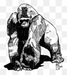 Download Free Png Tattoo Gorilla Western Groovanometry - Gorilla Tattoo Design,Gorilla Cartoon Png