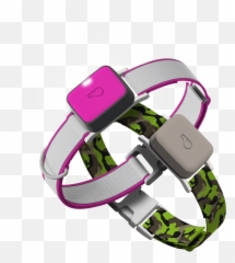 Whistle Go U0026 Explore Gps Pet Trackers - Dog Trackers Png,Collar Png