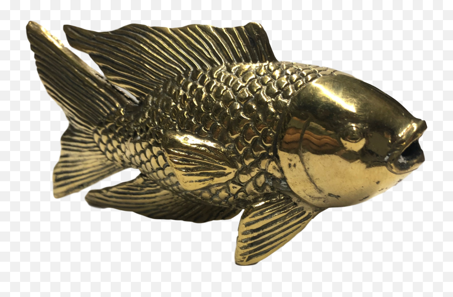 Golden Koi Fish - Swellfish Png,Koi Fish Png