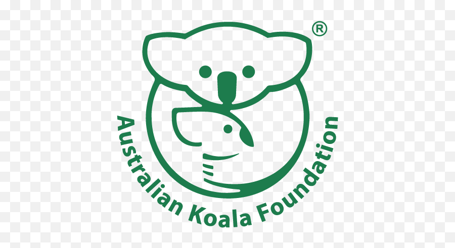 Koala - Save The Koala Foundation Png,Koala Transparent