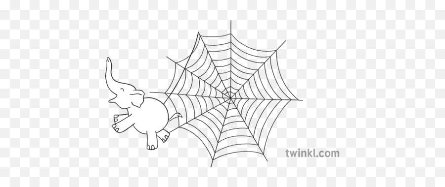 Ks1 Smiley Elephant - Spider Web Png Hd,Spider Webs Png