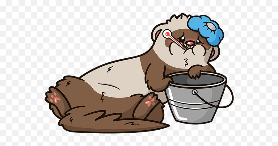 Ferret First Aid Kit For 2020 U2013 The Modern - Cartoon Png,Ferret Png