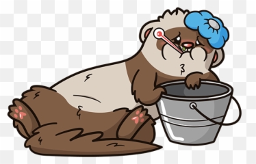 Ferret First Aid Kit For 2020 U2013 The Modern - Cartoon Png,Ferret Png