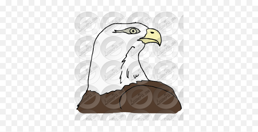 Bald Eagle Picture For Classroom Therapy Use - Great Bald Clip Art Png,Bald Eagle Png