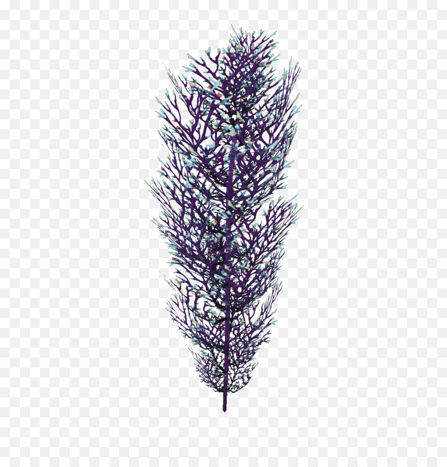 Cave Bush Flora - Subnautica Cave Bush Highresolution Png Art,Bushes Transparent Background