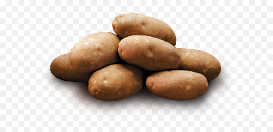 Png Format Images Of Potato - Idaho Potato With Transparent Background,Potatoes Png