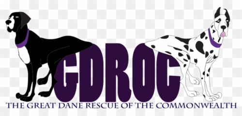 Great Dane Rescue Of The Commonwealth - Great Dane Png,Great Dane Png