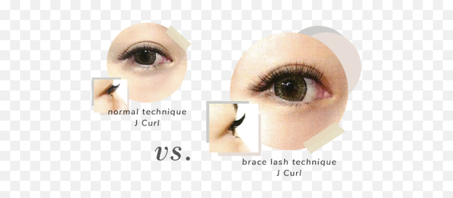 Brace Lashes Néw Lounge Ph - Eye Shadow Png,Lashes Png