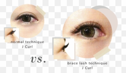 Brace Lashes Néw Lounge Ph - Eye Shadow png