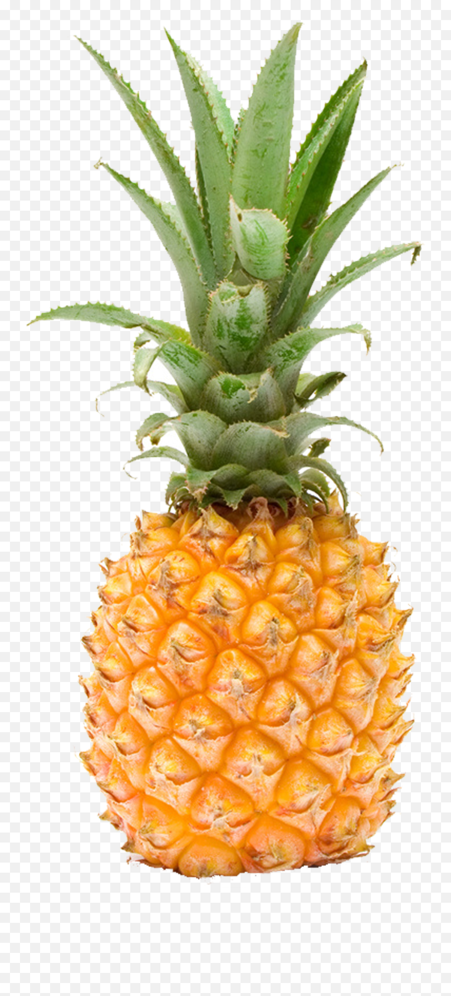 Pineapple Fruit Png - Tall Pineapple Png Transparent,Pineapples Png