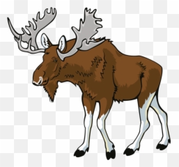 Moose Png Hd Clipart - Transparent
