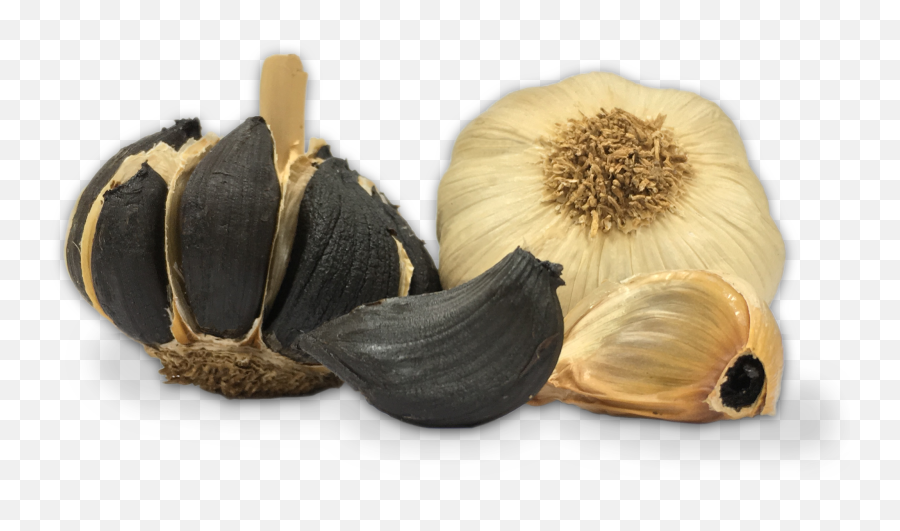 Download Ajo Negro Pedroñete - Black Garlic Full Size Png Black Garlic Hd,Garlic Transparent Background