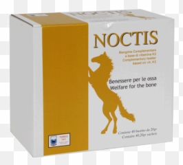 Noctis - Complementary Fodder For Bone Welfare Call Of Duty Black Ops Png,Noctis Png