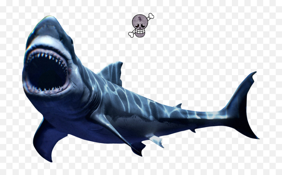 Great White Shark - Scary Shark Transparent Background Png,Great White Shark Png