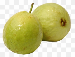Download Guava Png Image For Free - Transparent Guava Clipart,Guava Png