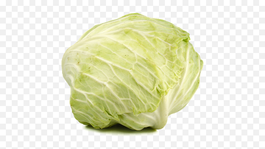 Cabbage Green Vegetable - Cabbage Png,Cabbage Transparent Background