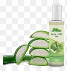 Download Aloe Vera Gel Png Free