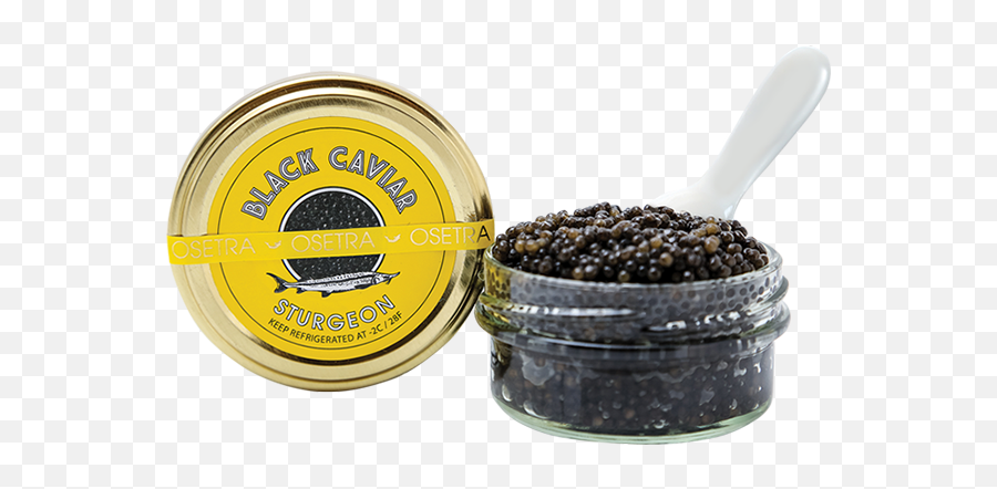 Download Hd Sturgeon Caviar - Caviar Png,Caviar Png