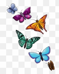 Here You Will Find Various Six Flying Butterflies - Png Transparent