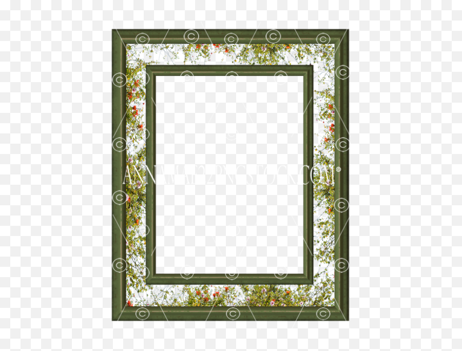 Plantsbushu0027s Png Stock Photos - Picture Frame,Hanging Vines Png