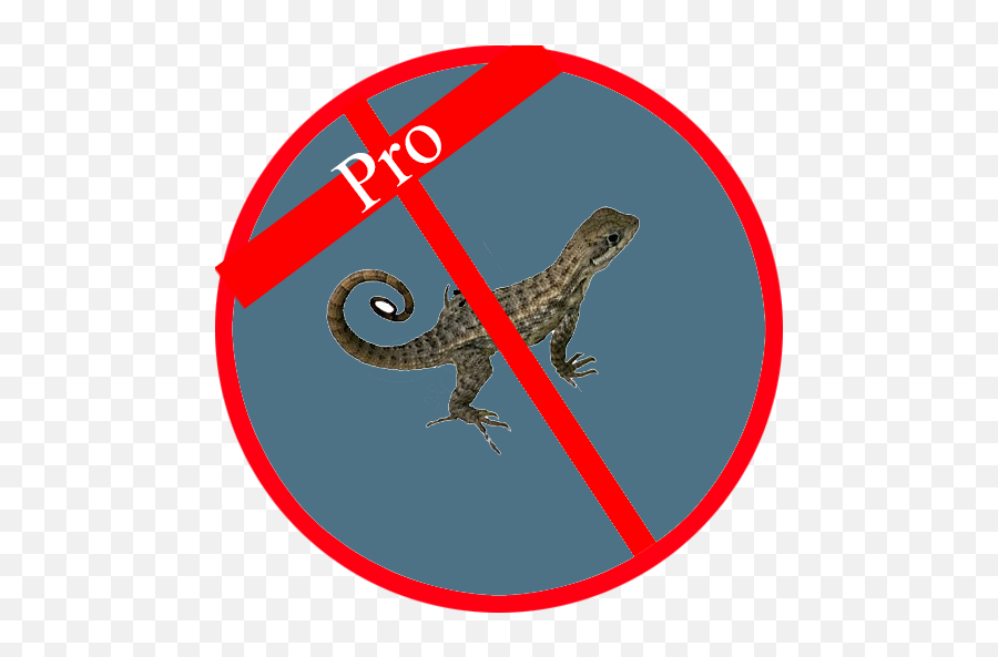 Anti Lizard 10 Download Android Apk Aptoide - Animal Figure Png,Lizard Icon